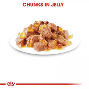 ROYAL CANIN Vlažna hrana za mačke Instinctive in jelly 85gr x 12kesica - Img 2