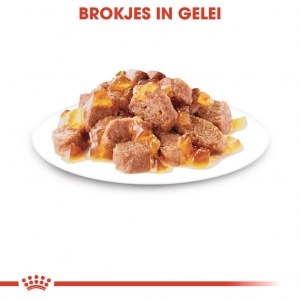 ROYAL CANIN Vlažna hrana za mačke preko 12 meseci starosti, komadići u želeu Intense beauty in jelly 85gr x 12kesica - Img 3