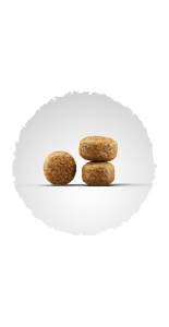 Josera Suva hrana Balance Adult 15 Kg - Img 2