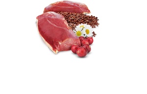 N&D Vlažna hrana konzerva Cat Quinoa Urinary 80g