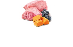 N&D Vlažna hrana konzerva Dog Pumpkin Puppy Lamb&Pumpkin&Blueberry 285g