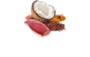 N&D Vlažna hrana konzerva Dog Quinoa Mini Duck&Coconut 140g
