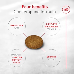 Royal Canin Fussy Exigent Hrana za izbirljive mačke 10kg (1836) - Img 3
