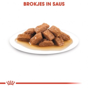 ROYAL CANIN Vlažna hrana u kesici za odrasle pse srednjih rasa Medium Adult 10x140gr - Img 2
