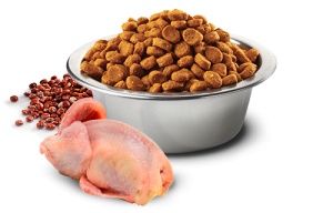 N&D Suva hrana Quinoa Skin&Coat Quail, Coconut-Curcuma 800 g