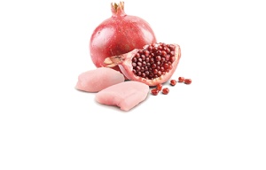 N&D Vlažna hrana konzerva Dog Grain Free Mini Chicken&Pomegranate 140g