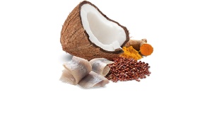 N&D Vlažna hrana konzerva Dog Quinoa Mini Herring&Coconut 140g