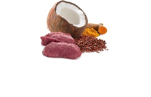 N&D Vlažna hrana konzerva Dog Quinoa Mini Venison&Coconut 140g
