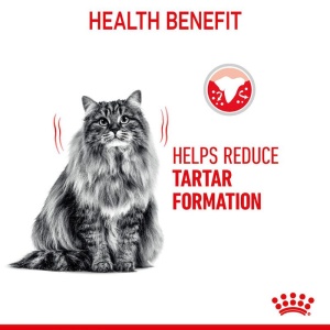 Royal Canin Dental Care Hrana za odrasle mačke 1.5kg - Img 2