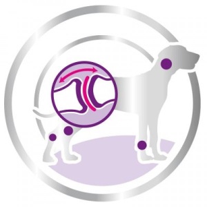 Royal Canin Suva hrana za pse Giant Adult 15kg. - Img 3