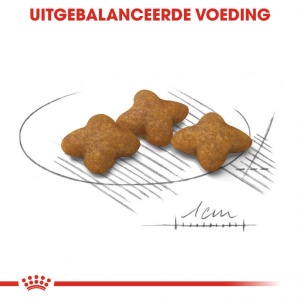 Royal Canin Suva hrana za pse X Small Sterilised Adult 1.5kg. - Img 3