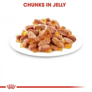 ROYAL CANIN Vlažna hrana za mačiće, komadići u želeu Kitten Instinctive in Jelly 85gr x 12kesica - Img 2