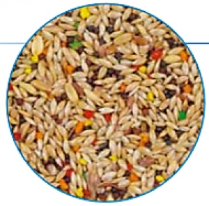 Hrana za Kanarince 1kg - Img 2