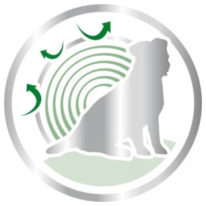 Royal Canin Mini Ageing +12 - Suva hrana za pse 800gr. - Img 2