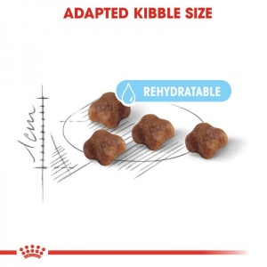 Royal Canin Suva hrana za mačiće Kitten 36 - 10kg - Img 2