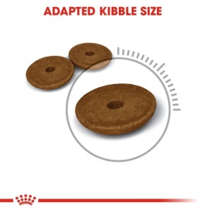 Royal Canin Suva hrana za odrasle mačke Digestive Comfort 38 - 400gr. - Img 2