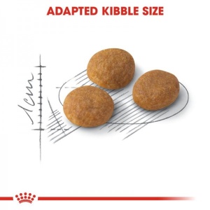 Royal Canin Suva hrana za odrasle mačke Exigent Aromatic Attraction - 2kg. - Img 3