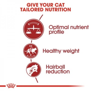 Royal Canin Suva hrana za odrasle mačke Fit 32 - 15kg. - Img 2