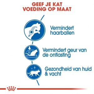 Royal Canin Suva hrana za odrasle mačke Indoor long hair 35 - 400gr.