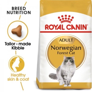 Royal Canin Suva hrana za odrasle mačke Norwegian Forest Cat - 2kg. - Img 4