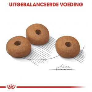 Royal Canin Suva hrana za pse Medium Light Weight Care 3kg. - Img 2