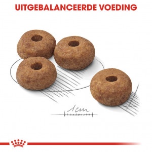 Royal Canin Suva hrana za pse Medium Sterilised 3kg. - Img 2