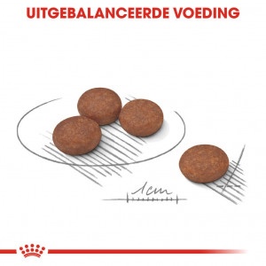 Royal Canin Suva hrana za pse Mini Digestive Care 1kg. - Img 3