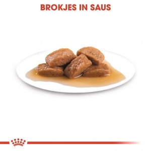 ROYAL CANIN Vlažna hrana u kesici za odrasle pse velikih rasa Maxi Adult 10x140gr - Img 3