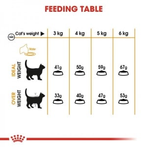 Royal Canin Suva hrana za odrasle mačke Hair & Skin 30 - 400gr. - Img 4