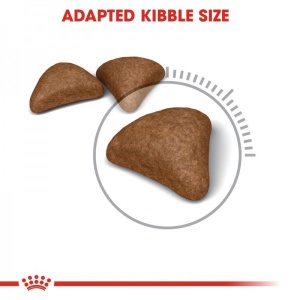 Royal Canin Suva hrana za odrasle mačke Intense Hairball 34 - 400gr. - Img 2
