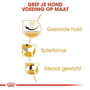 Royal Canin Suva hrana za pse Pug Adult 1.5kg. - Img 3
