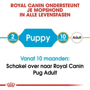 Royal Canin Suva hrana za pse Pug Puppy 1.5kg. - Img 2