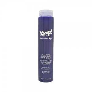 YUUP Whitening and Brigheting Sampon 250 ml - šampon za izbeljivanje i sjaj