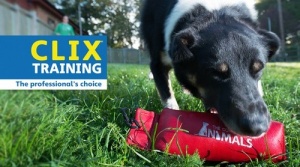 CLIX Retriever - Img 2