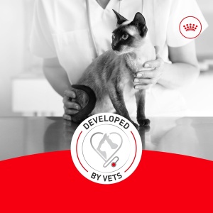 Royal Canin Fussy Exigent Hrana za izbirljive mačke 10kg (1836) - Img 2