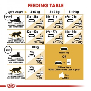 Royal Canin Suva hrana za odrasle mačke Maine Coon - 4kg.