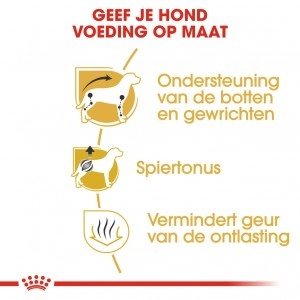 Royal Canin Suva hrana za pse Dachshund Adult 1.5kg. - Img 3