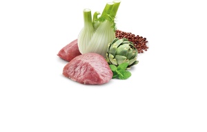 N&D Vlažna hrana konzerva Cat Quinoa Digestion 80g