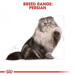 Royal Canin Suva hrana za odrasle persijske mačke Persian - 10kg. - Img 4