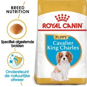 Royal Canin Suva hrana za pse Cavalier King Charles Puppy 1.5kg. - Img 4
