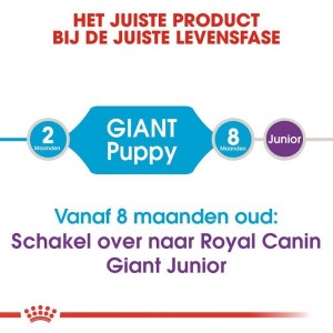 Royal Canin Suva hrana za pse Giant Puppy15kg. - Img 3