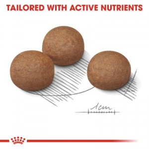 Royal Canin Suva hrana za pse Maxi Digestive Care 3kg. - Img 3