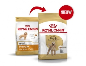 Royal Canin Suva hrana za pse Poodle Adult 500gr. - Img 4