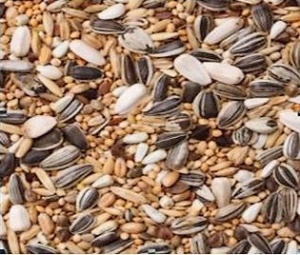 Benelux Mešavina za srednje papagaje Superior 20kg