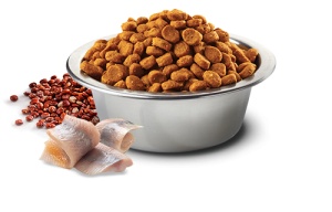 N&D Suva hrana Quinoa Skin&Coat Herring, Coconut-Curcuma 7 kg - Img 3