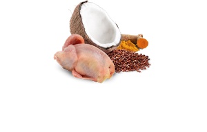 N&D Vlažna hrana konzerva Dog Quinoa Mini Quail&Coconut 140g