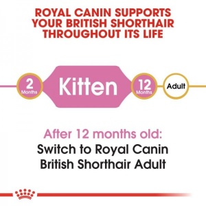 Royal Canin Suva hrana za mačiće Kitten British Shorthair - 2kg. - Img 4