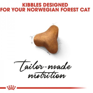 Royal Canin Suva hrana za odrasle mačke Norwegian Forest Cat - 2kg. - Img 3