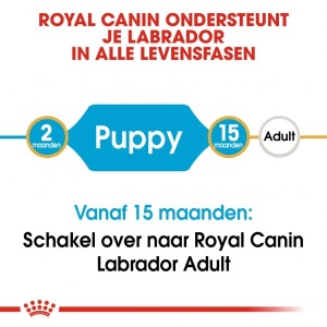 Royal Canin Suva hrana za pse Labrador/Retriever Puppy 3kg. - Img 3