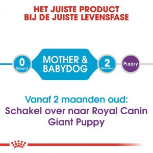 Royal Canin Suva hrana za štence Giant Starter 4kg. - Img 2